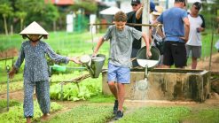 Tour gia đình cổ điển Việt Nam cùng trẻ em 12 ngày